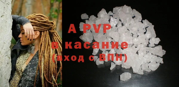 индика Тобольск