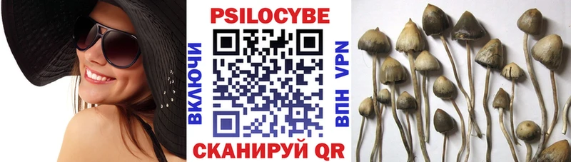 MEGA tor  Славянск-на-Кубани  Галлюциногенные грибы Psilocybe 